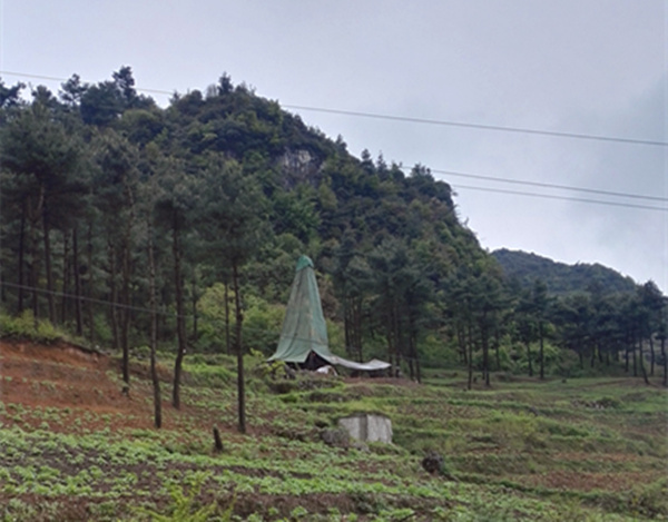 把脈“黔”鋅地，問診開良方